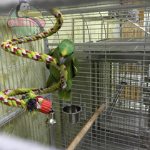 Medium Large Parrot Climbing Rope Autumn Thousands Toy Cotton Rope Toy Spiral Total Length about 1 6m diameter about 2cm