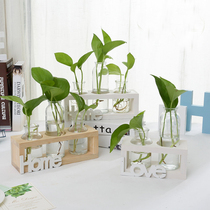 Creative hydroponic vase Green rose transparent glass flower arrangement container HOME HOME dining living room TV cabinet decoration ornaments