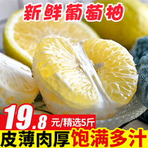 Fujian grape grapefruit fresh fruit honey grapefruit wholesale 9kg of seasonal white meat grapefruit Sha Tin whole box of Wendan oil 5