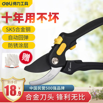 Gardening scissors Pruning scissors Branch scissors Garden scissors Floral pruning Fruit tree pruning scissors Pruning scissors