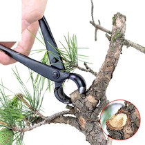 Ball joint cutting pliers cutting ball cutting pliers trimming gardening accessories cutting bonsai ball tree knot pruning shears