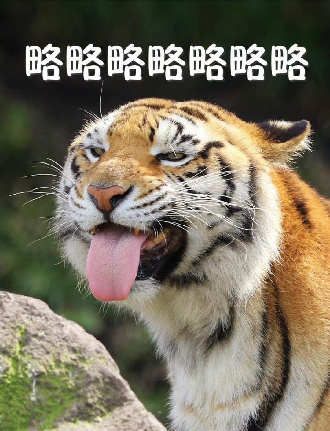 堡威椭圆机被吐槽了？