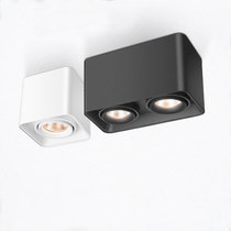 Nex lighting LED household ceiling aisle light double-headed passenger without main light grille spotlight ceiling bucket light