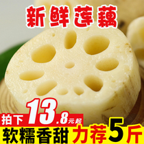 Hubei Honghu lotus root fresh 5kg powder lotus root fresh lotus root farm self-growing lotus root with lotus root tip full box 9