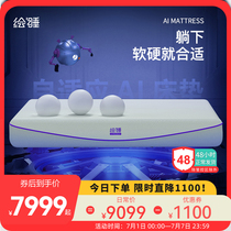 Letsleep Painted Sleeping Smart Mattress Tech Sleep for men and women dedicated to supporting lumbar spine natural bionic sleep aid