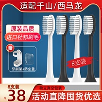 Suitable for Qianshan electric toothbrush head Q5 Q7 Q8 X1 S1 A1 Xiaoyeju Q15 to replace Cimarron T6 501