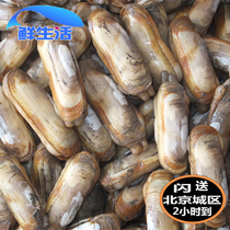 Beijing Tongcheng flash delivery direct delicious ultra-fresh seafood meat fat double-headed live razor clams razor clams 500g