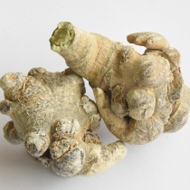 Dianhe Sanqi head official flagship store 18 heads 20 heads 30 heads 500g notoginseng Yunnan authentic Wenshan Tianqi