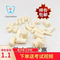 Oral Dental Tooth Preparation Model Practice Dental Grain Simulation Loose Tooth Body Preparation Cove 10 out of body