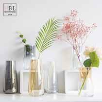 Modern simple illusion Nordic ins dried flower arrangement gradient transparent glass vase living room table decoration ornaments