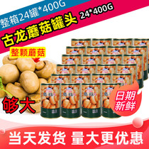 Cologne canned mushrooms 425g*24 cans whole box for sale whole mushroom vegetarian canned pizza baking raw materials