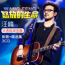 Wang Feng cd album Genuine rock new songs Pop music CD lossless vinyl record Car CD disc