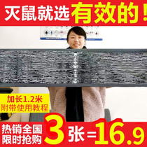 Mouse stick strong sticky mouse board Household big mouse stick Rat poison felt Glue Catch stick thick plus-sized magic carpet