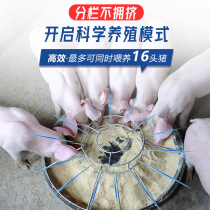 New piglet supplement tank 80cm16 grid piglet education tank nursery tank feeding pig tank feeder breeding equipment