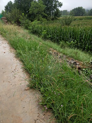 很薄，穿上后也很舒服，无钢圈，是四分之三的罩，穿上后炒鸡舒服，唯一的不足之处就是内衣带是死扣，不能换肩带，其他的都还可以吧！很薄，穿上后也很舒服，无钢圈，是四分之三的罩，穿上后炒鸡舒服，唯一的不足之处就是内衣带是死扣，不能换肩带，其他的都还可以吧！