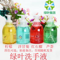 Green leaf love life chamomile foam hand sanitizer plant Formula pregnant baby natural non-irritating