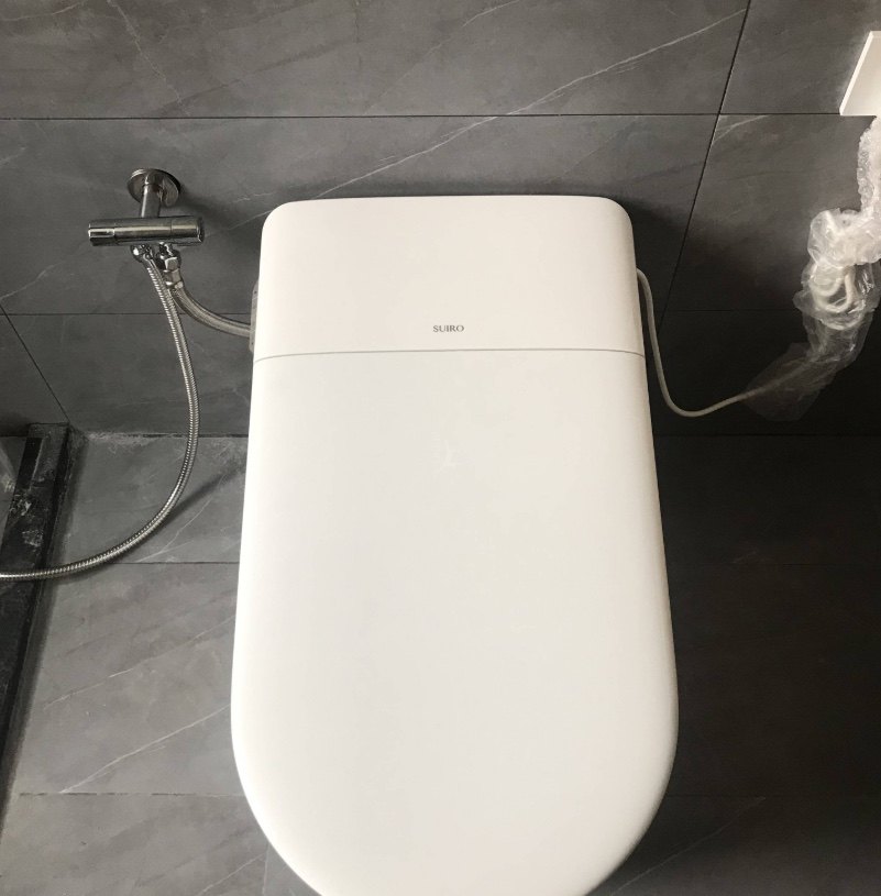 水鹿马桶大鲸和海豚哪个好?