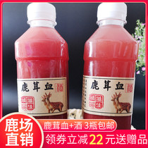 Jilin Mayflower deer antler blood wine antler blood plum flower deer blood pure antler blood wine antler