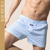 Shile cotton Aro pants mens underwear boxers this year red loose size boxer cotton shorts