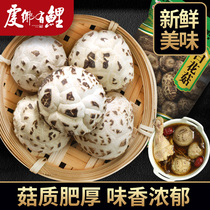 Farm dry goods dried shiitake mushrooms shears foot mushrooms new goods 280g basswood mushrooms New Year dry goods shiitake mushrooms Pearl