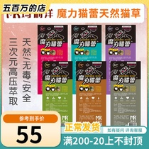 Mari Yang Magic Cat Lei Kitty Environment Adaptation Mood Appeasement Natural Cat Grass Taiwan Original Dress 6 Kinds Of Degrees