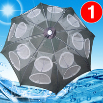 Shrimp Cage Fishing Shrimp Mesh Folding Automatic Fishing Tool Catch Fish Nets Amazing Fishing Nets God Fishing Cage Lobster Web God