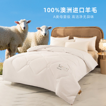 Class A 100 pure Australian wool quilt winter is thickened by cotton being heated by spring and autumn heating bedding single dormitory in winter