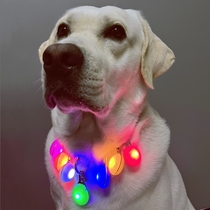 Pet glowing pendant LED Teddy night anti-missing loss of listed pendant collar safety warning night walking dog lamp