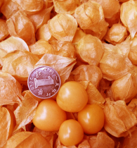 Girl Fruits Northeast Heilongjiang Teryield Fruit Fresh Fruit with box 4 catties of the season rare fruit fresh