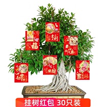 Lanyard hanging tree decoration small red envelope New year bonsai layout pendant hair fortune tree with red rope Spring Festival plant profit seal