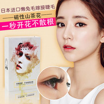 Lazy rabbit fur grafting false eyelashes flowering eyelashes magnetic flowering natural soft mink hair camellia planting false eyelashes