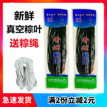 Xiangyuan Zongzi leaves vacuum packaging Free mail seed leaves Fresh large Zongzi leaves Ruo leaves 100 leaves wrapped in zongzi