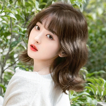 Wig Short Hair Girl Natural Full Headgear Mesh Red Round Face Lolita Short Curly Hair Wool Roll Simulation Summer Wig Cover