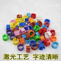 Pigeon foot ring Pigeon supplies Meat pigeon mark ring Carrier pigeon Plastic card digital identification ring Electronic ring Custom