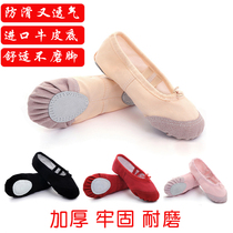 Children's dance shoes princess cat claw shoes girl soft bottom practice ballet shoes kindergarten little tong Bao pink flesh color