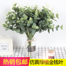 Emulation Eugali Money Leaf gold Grass Bronze Money Grass Golden Fish Grass Wedding green plant Decorative Wedding Grass Green Plant foliage
