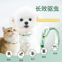 Kitty insect repellent collar deluds to anti-lice supplies in vitro dog collar neck laps small dogs except flea pet cat rings