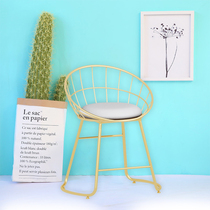 Nordic iron leisure dining chair net red butterfly chair ins back chair light luxury European hollow makeup chair single