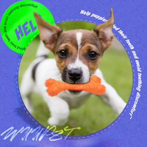 Pet Dog Toys Resistant to Bite Tooth Removal of Mouth Odor Dog Bones Special Dentity Sticks Teddy Dogs Self-Hi-Relieving Smother