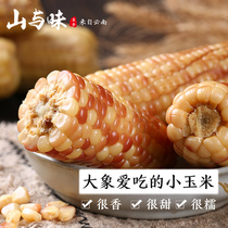 Mountain and flavor Xishuangbanna small corn Yunnan Banna Sweet glutinous sweet glutinous corn package a box of 12