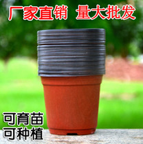 Planting nursery basin bicolor flower pot nutrient bowl plastic disposable fall not bad thickened horticultural green plant multi-meat basin