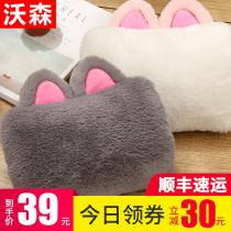 Hot water bag charging water injection explosion-proof plush cute hand warmer water bag cartoon Korean version of Cat hand warmer