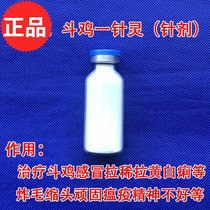 Cockfighting medicine Cockfighting disease medicine cockfighting diarrhea cockfighting diarrhea Yunnan cockfighting Guizhou cockfighting medicine cockfighting training