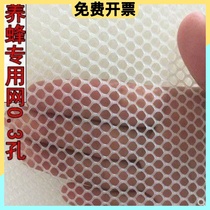 1 Small Chicken Miao Network Breeding Nets Bed Breeding Nets Small Chicken Mesh Sheet Mesh Sheet Plastic Raised Chicken Leaking Manure Nets Poultry Footbed