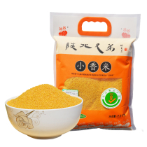2020 Xinmi Shaanxi special production Shaanxi province North Brothers Yellow millet Coarse Cereals Coarse Grain Rice Rice 5 Catty Rice