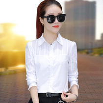 Career White Shirt Lady Long Sleeve 2022 Autumn Winter Dress New Fashion Blouse Pure Cotton Undershirt Positive Dress Lining Clothing