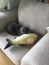 Cat Mint Fish Grass Fish Toy Holding Pillow Pet Toy