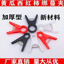 Greenhouse Tomato Cucumber Tomato Clip Hanging Household Small Flower Stand Watermelon Suspension Line Stem Large mouth Orchard