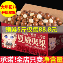 Macadamia Nut Flagship Store Cream Flavor Bag FCL 5 catties Pregnant Women Dried Fruit Snacks Bulk 10 catties Wholesale