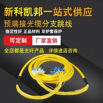 Shinco Kaibang SC-SC 10 meters 12-core single-mode fan-shaped pre-terminated optical cable branch jumper pigtail fiber optic cable
